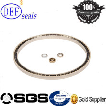 PTFE Spring Energized Seals for Food Processing